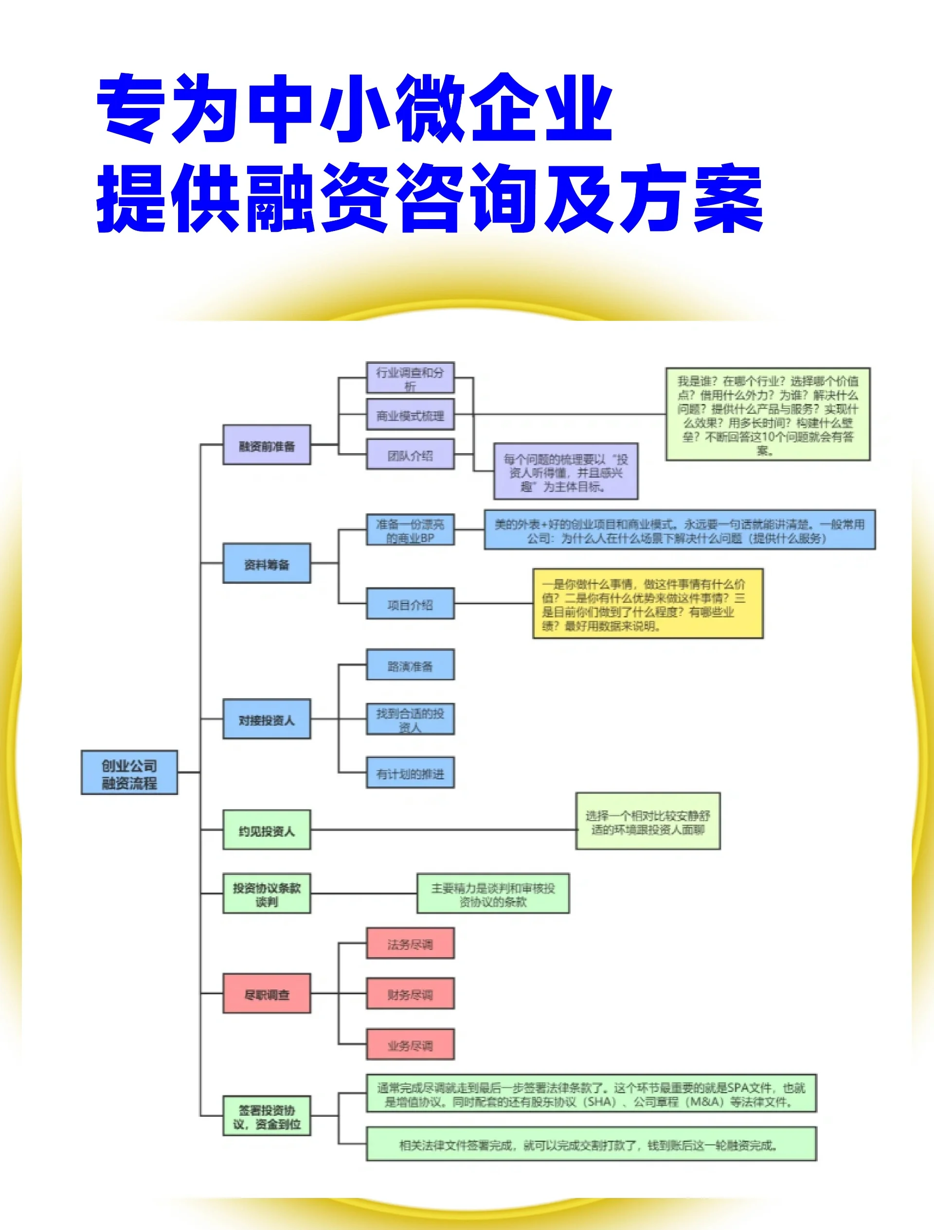 五指山市宠物企业资金管理(宠物管理机构叫什么)