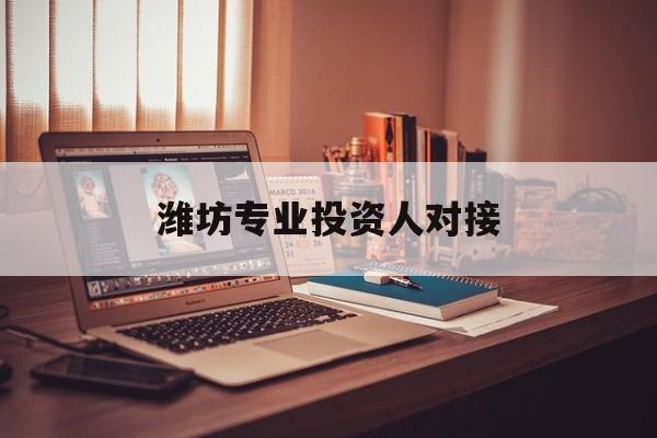 五指山市潍坊专业投资人对接(潍坊专业投资人对接中心)