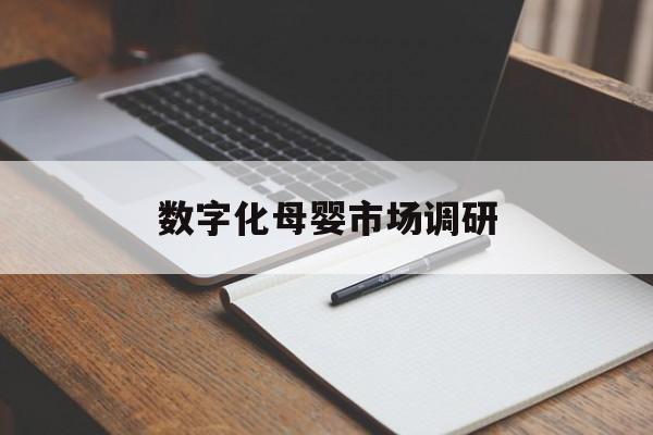 五指山市数字化母婴市场调研(数字化母婴市场调研报告)