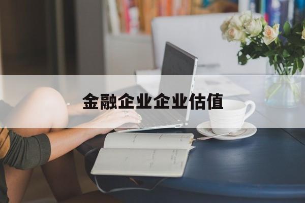 五指山市金融企业企业估值(最新企业估值怎么填)